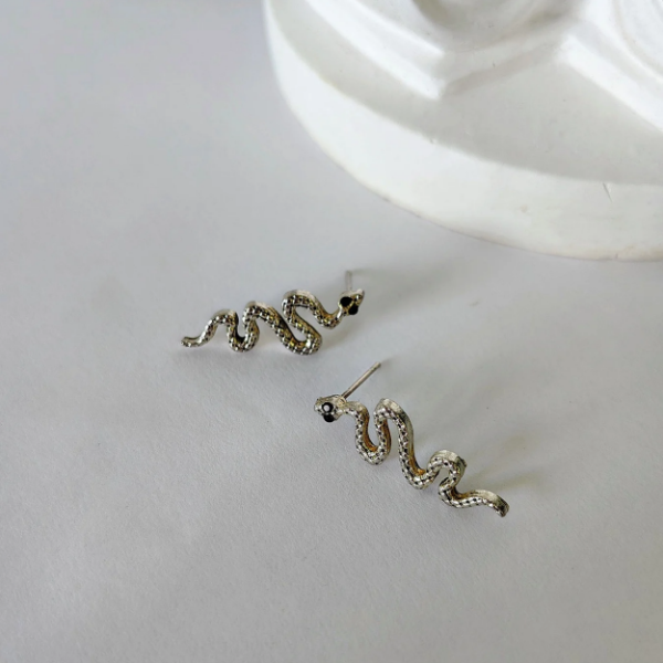 Producto - Aros Snake