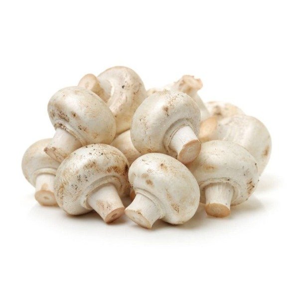 Producto - CHAMPIGÑON