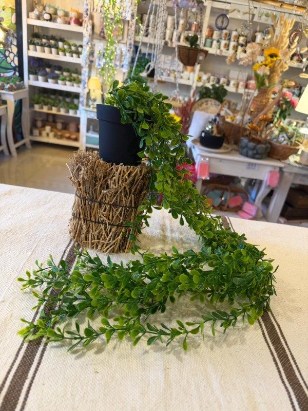 Producto - Caida con maceta 75 cm ( Efectivo: 14.000)