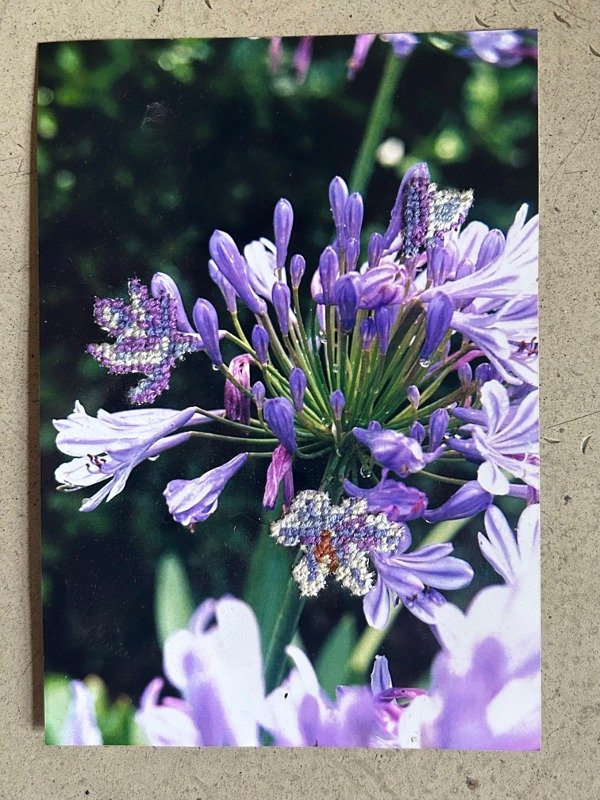 Producto - Fotobordado Agapantus