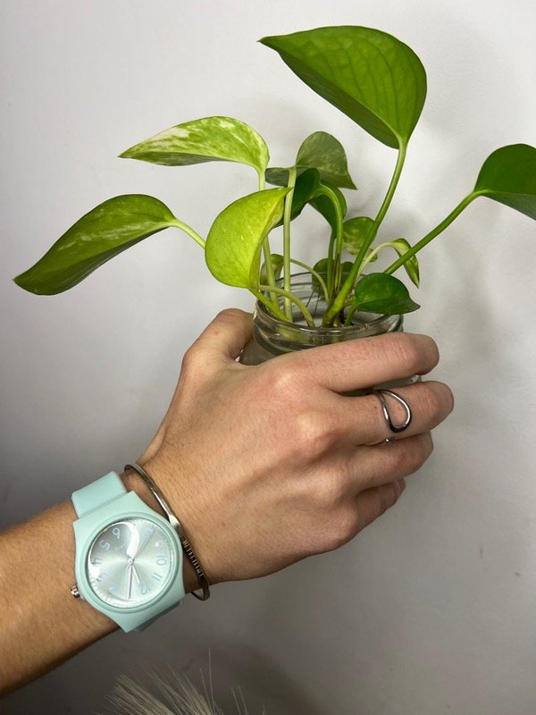 Producto - Reloj Spencer