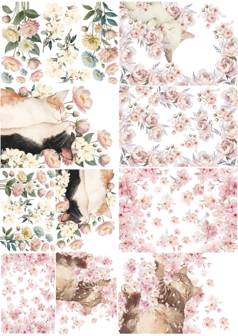 Producto - CATCUTE 4