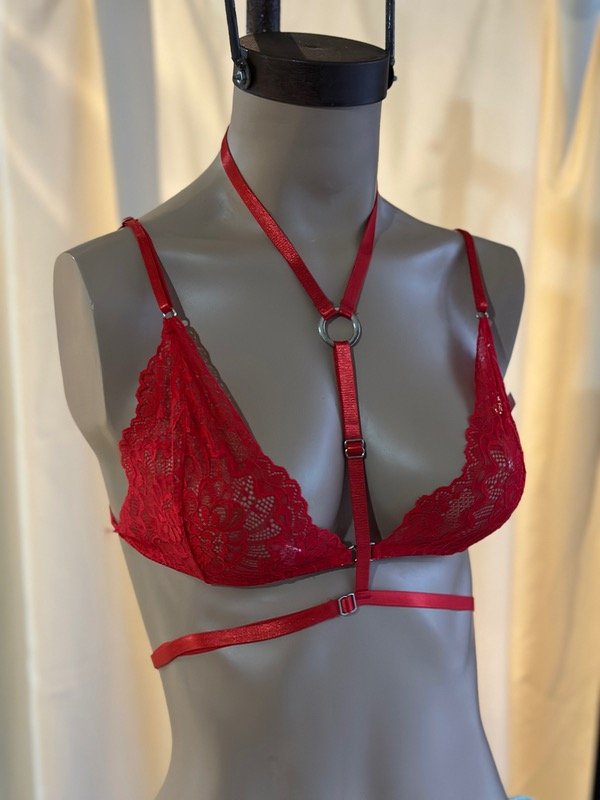 Producto - ARNES DE PECHO ROJO (NO INCLUYE CORPI)