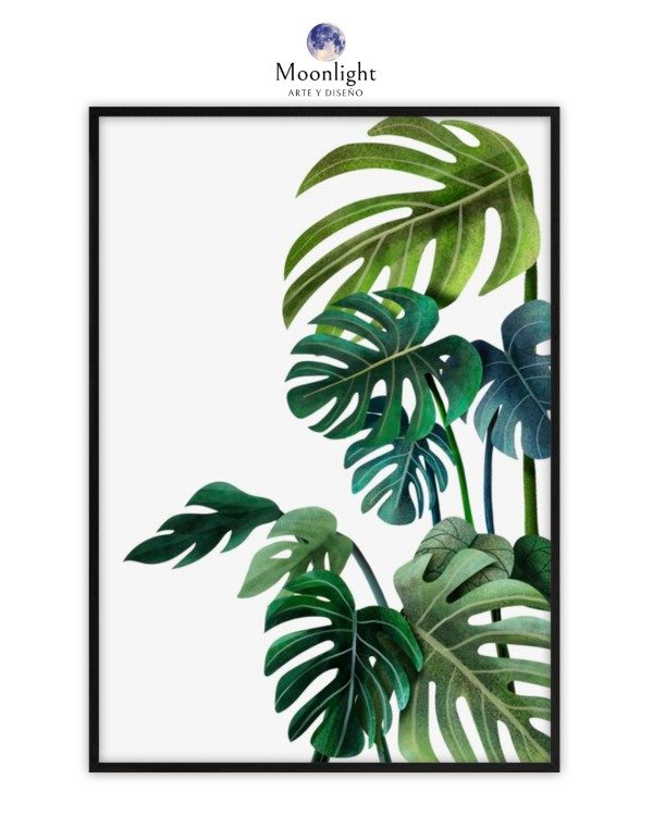 Producto - 20 - Naturaleza Minimalista
