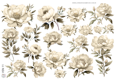 Producto - VSN 11 A5