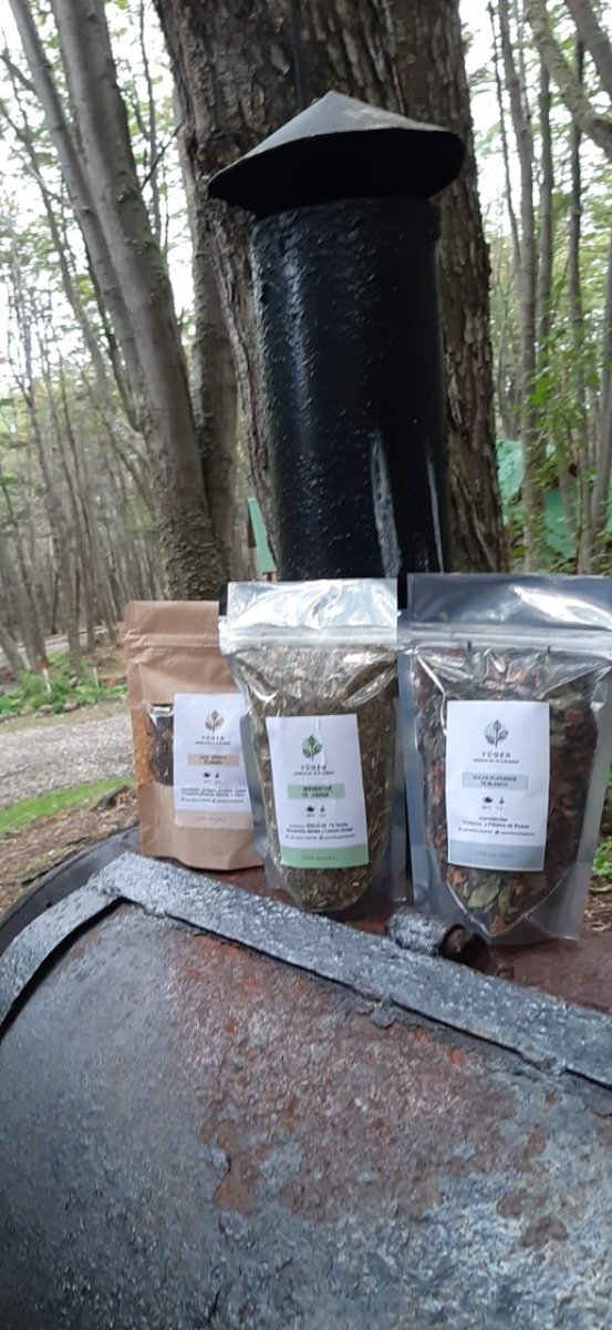 Producto - KIT 3 -  3 BLENDS con base de Té Negro y Verde