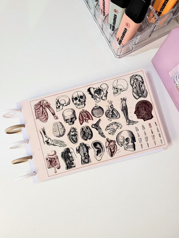 Producto - Fichero Inteligente PORTADA C107