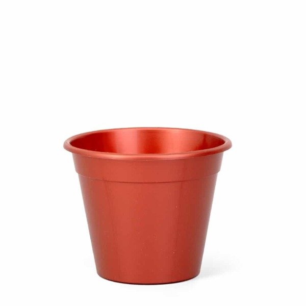Producto - BERUPLAST CLASICA 12
