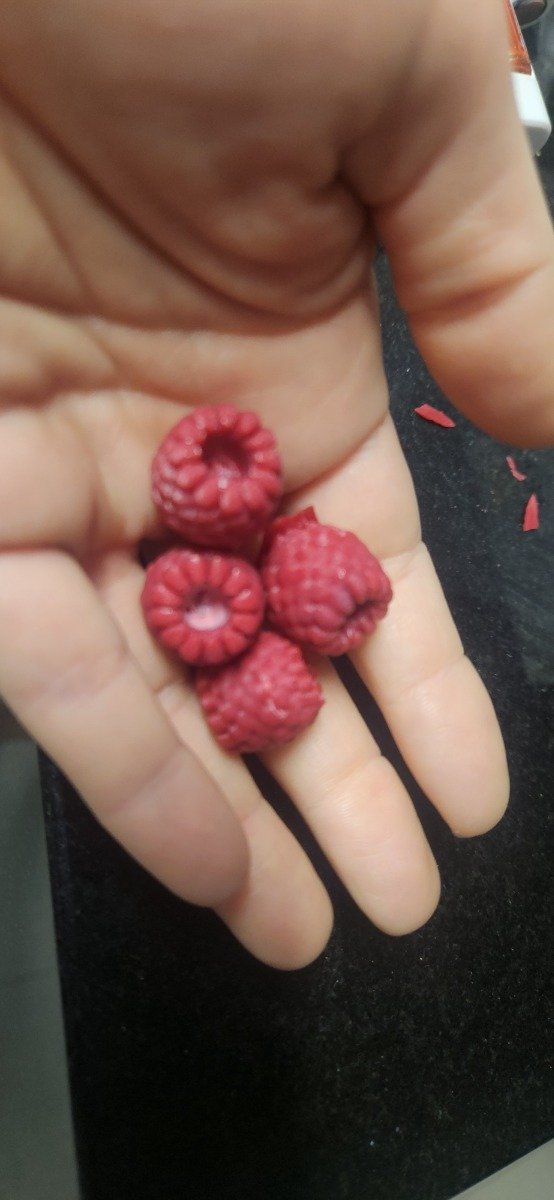 Producto - Molde Frambuesa