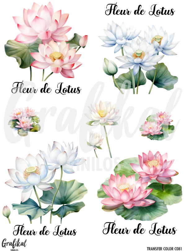 Producto - TransferColor 15x20 081