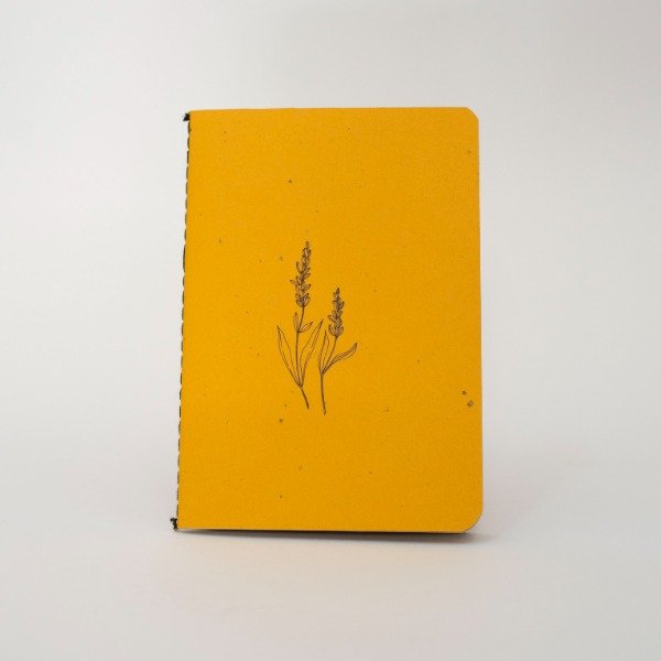 Producto - CARINO - COLECCION - 5
