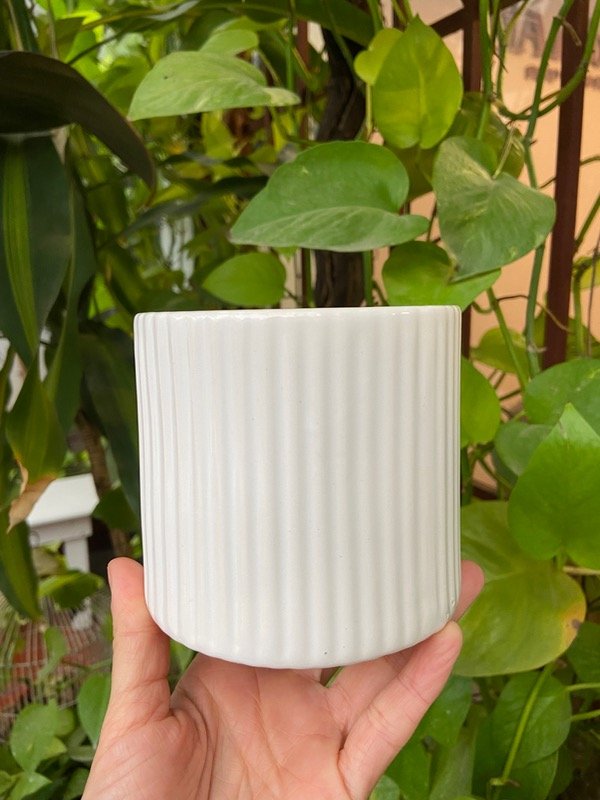 Producto - Maceta cilindro- blanca