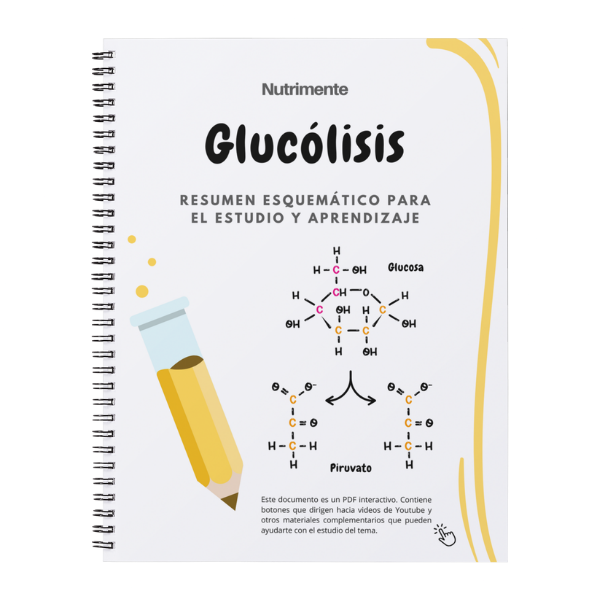 Producto - Guía Glucólisis