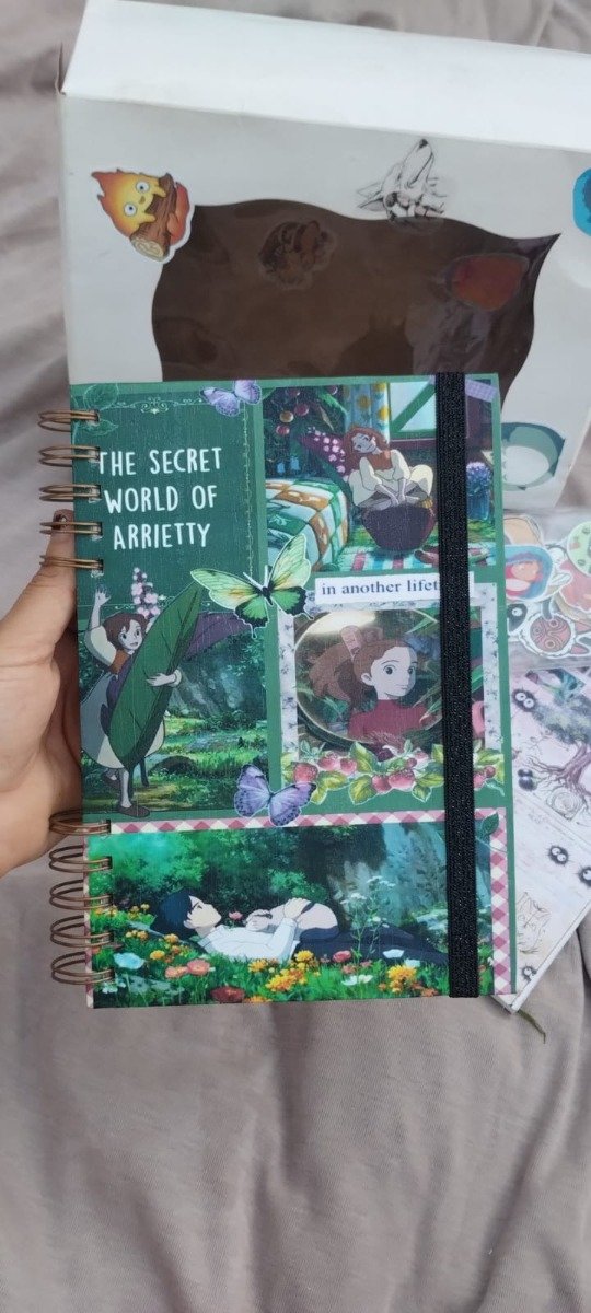 Producto - Box Ghibli mixto - 2