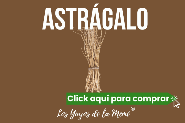 Producto - Astrágalus, astrágalo en capsúlas, en gotitas o en doypack.