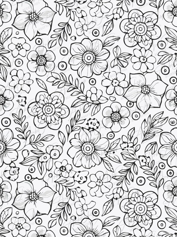 Producto - Black and White 19