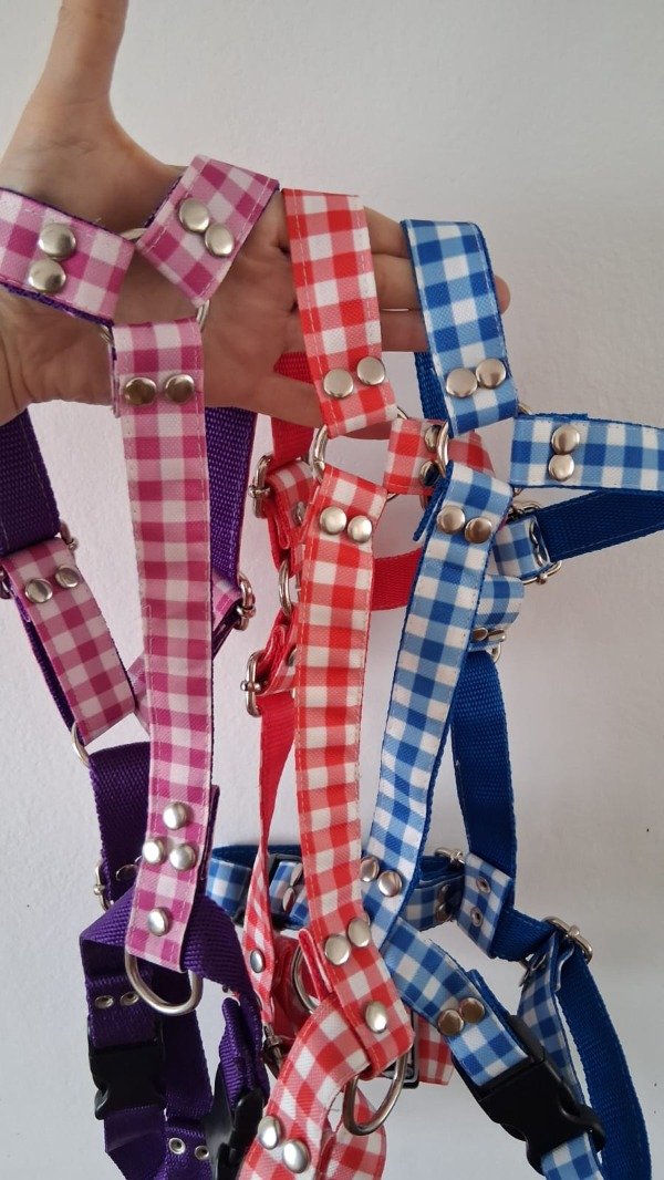 Producto - Arnes H "PICNIC"