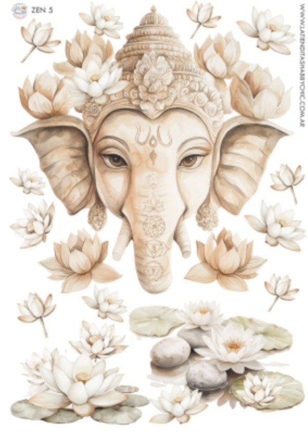 Producto - Transfers ZEN 5