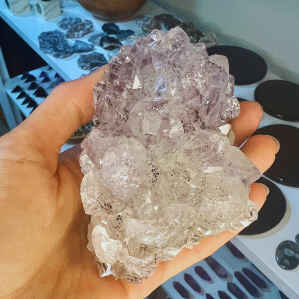 Producto - Amatista crecimiento en flor 02