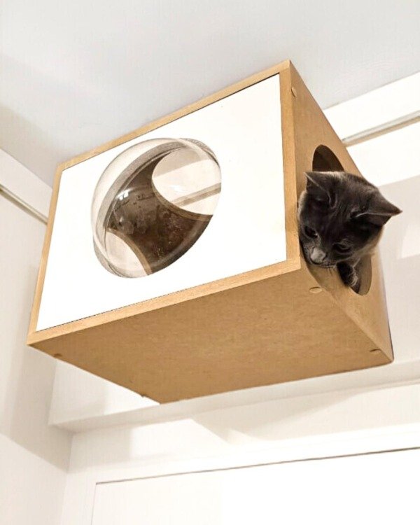 Producto - Cubo espacial