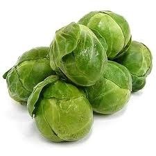 Producto - REPOLLITO DE BRUSELLA
