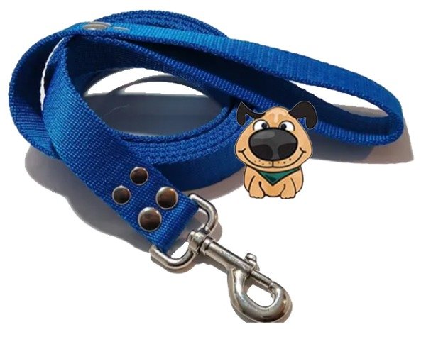Producto - Correa de perro Urbana 2 mts  de largo  por 3 cm  de ancho reforzada - 5