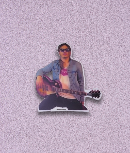 Producto - STICKER AIRBAG pato #2
