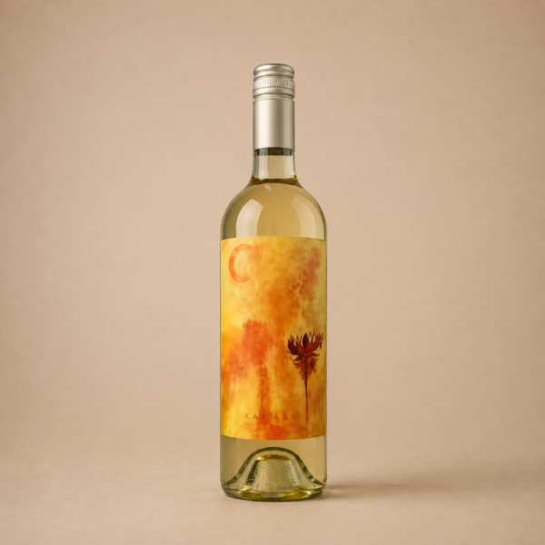 Producto - DHARMA WINES - Kamala Sauvignon Blanc (2023)