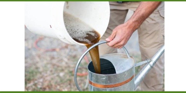 Producto - Compost líquido agroecológico x lt.