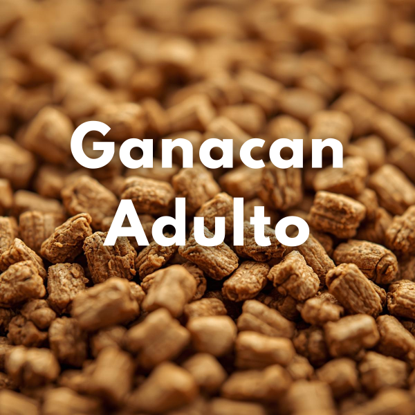 Producto - Ganacan Adulto (Granel)