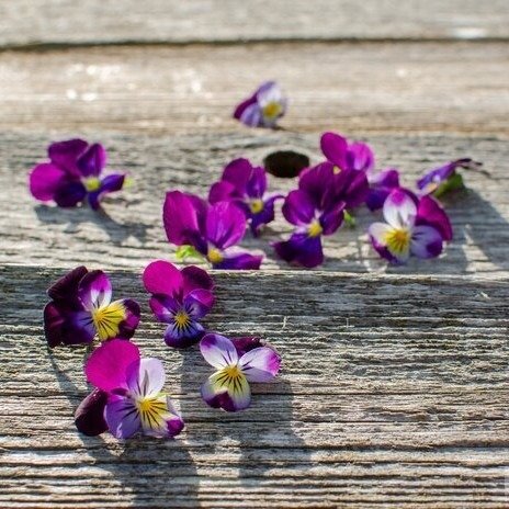 Producto - Esencias para Velas - Violeta y Sandalo (Nectar) 50ml