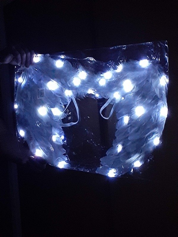 Producto - Alas Plumas Led x 1