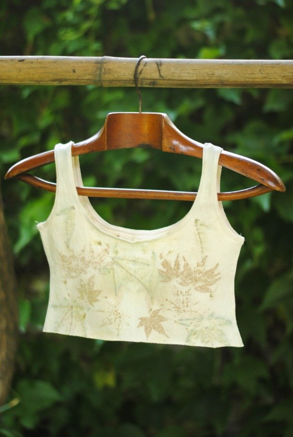 Producto - Top Brodiaea