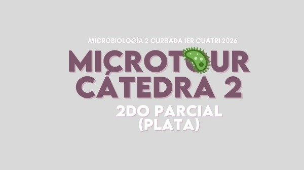Producto - MICRO 2 CÁTEDRA 2 PLATA (2DO PARCIAL)