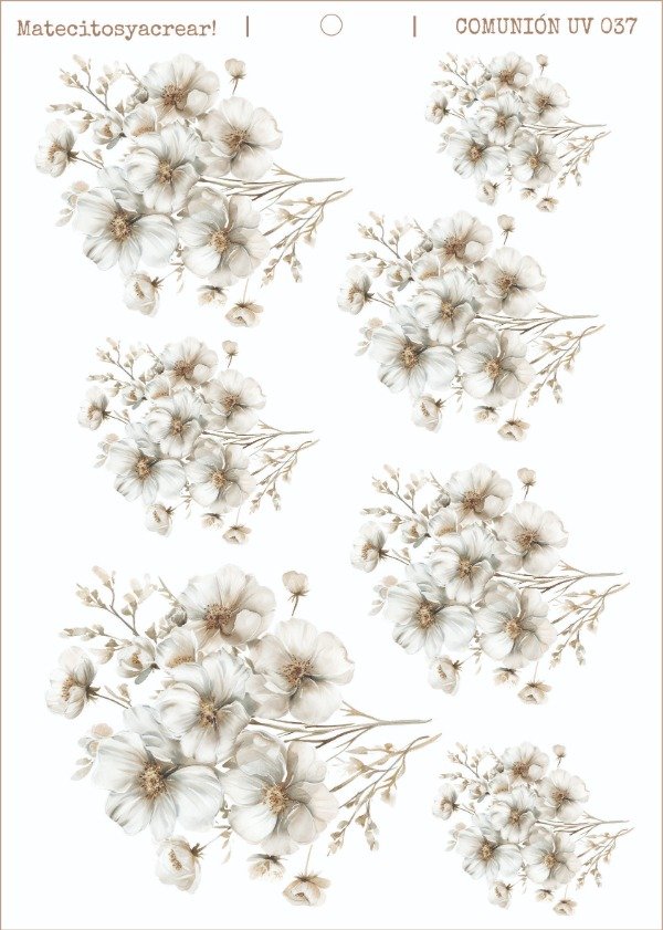 Producto - CB UV 037
