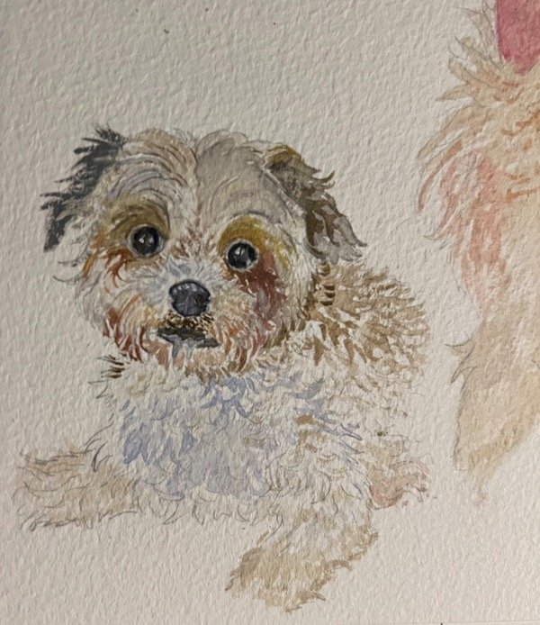 Producto - Retrato de mascota mini acuarela - 2