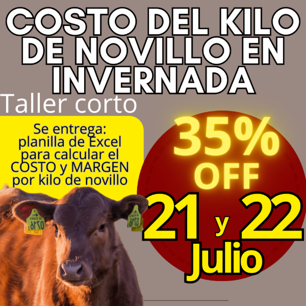 Producto - Taller corto: cálculo del costo del kilo de novillo