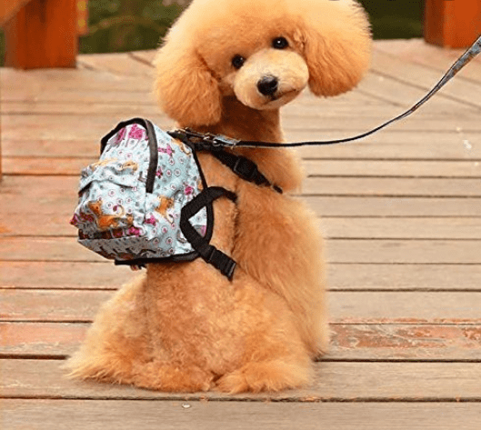 Producto - Mochilita para mascotas con pretal
