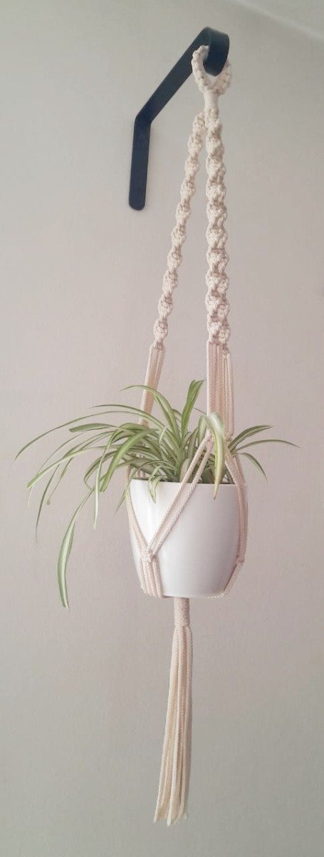Producto - SEMILLA