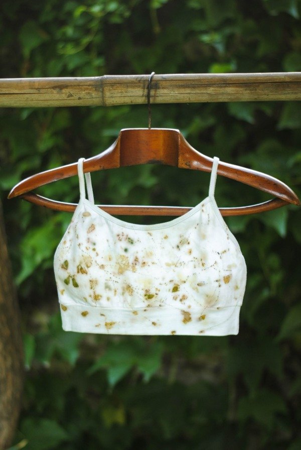 Producto - Top Celidonia