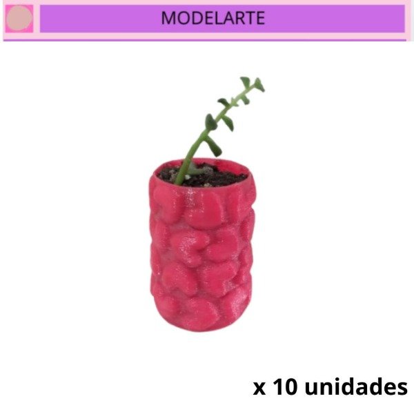Producto - Maceta corazón x 10 unidades CON SUCULENTA