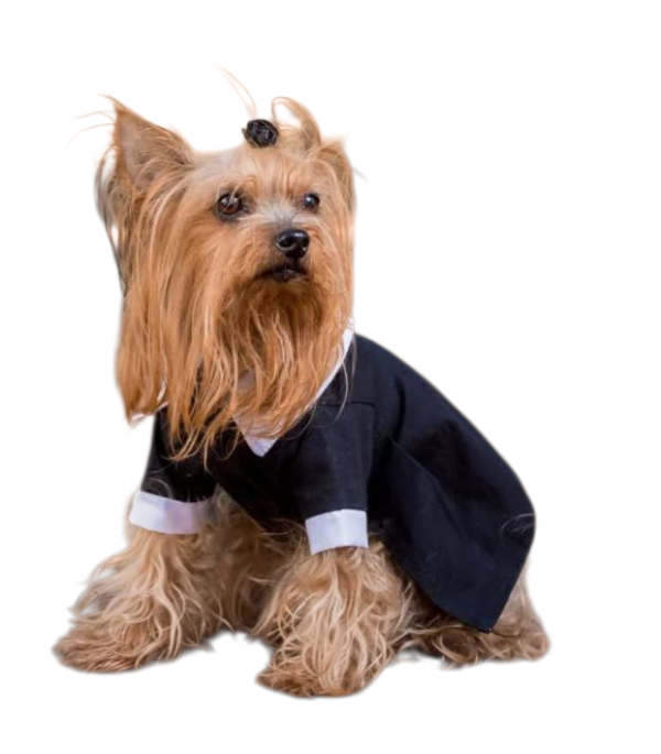 Producto - Vestido merlina