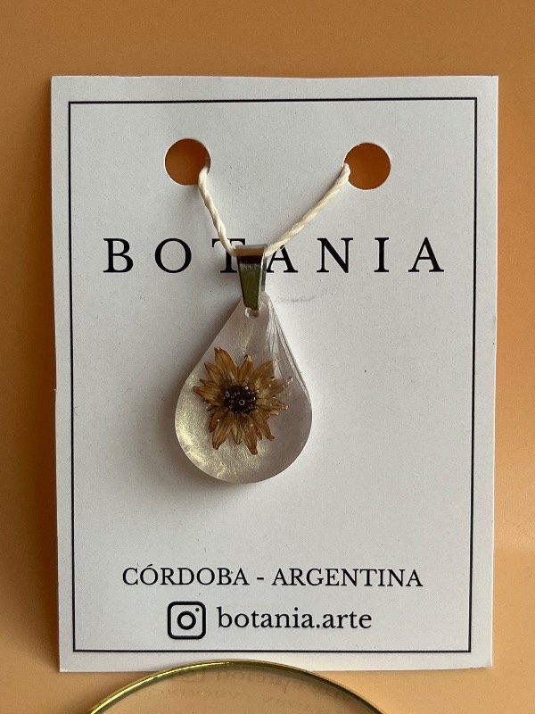 Producto - Semilla 8