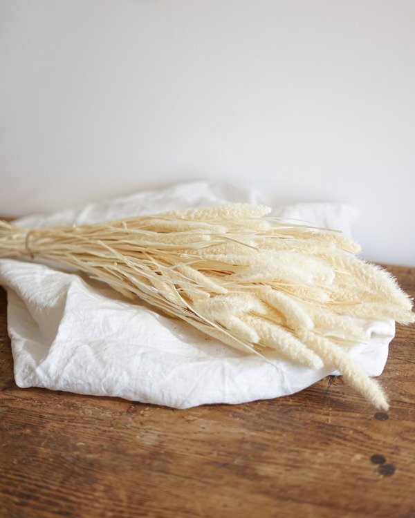 Producto - RAMO SETEREA