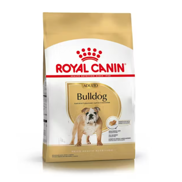 Producto - Bulldog Adulto