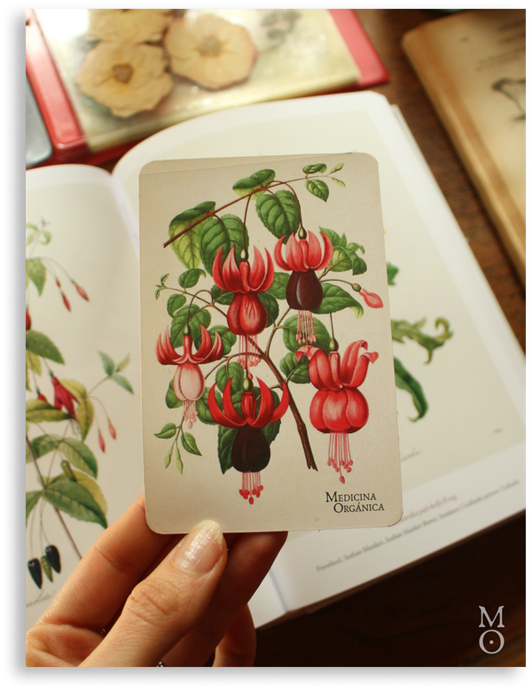 Producto - Imán - fucsia