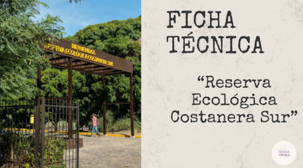 Producto - SALIDAS CIRUELAS - RESERVA COSTANERA SUR