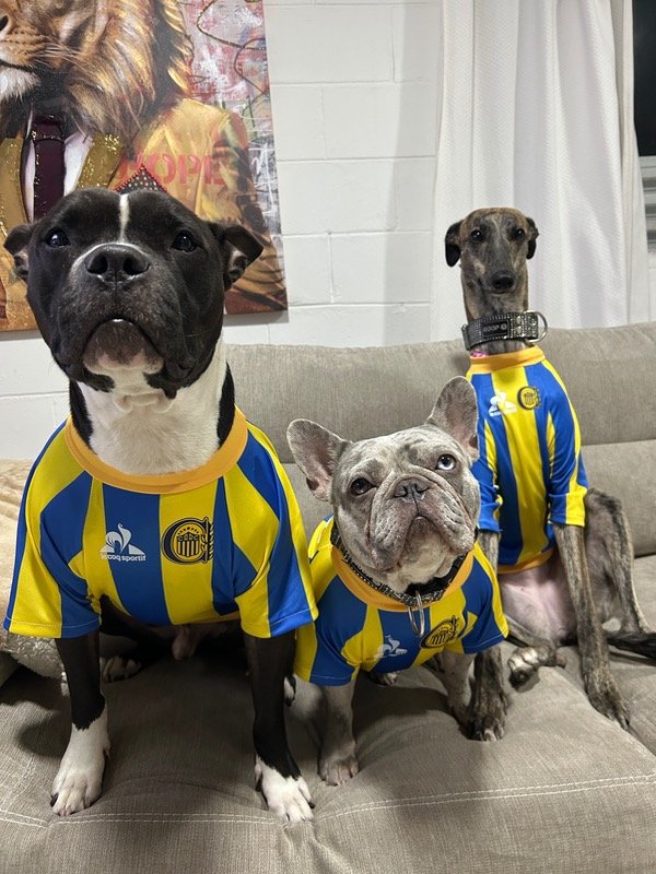 Producto - CAMISETA ROSARIO CENTRAL