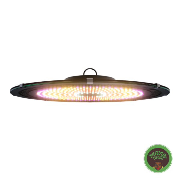 Producto - Campana MARS Orbiter Evolution