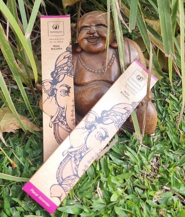 Producto - Iluminarte Rectangular x12 ROSA BULGARA